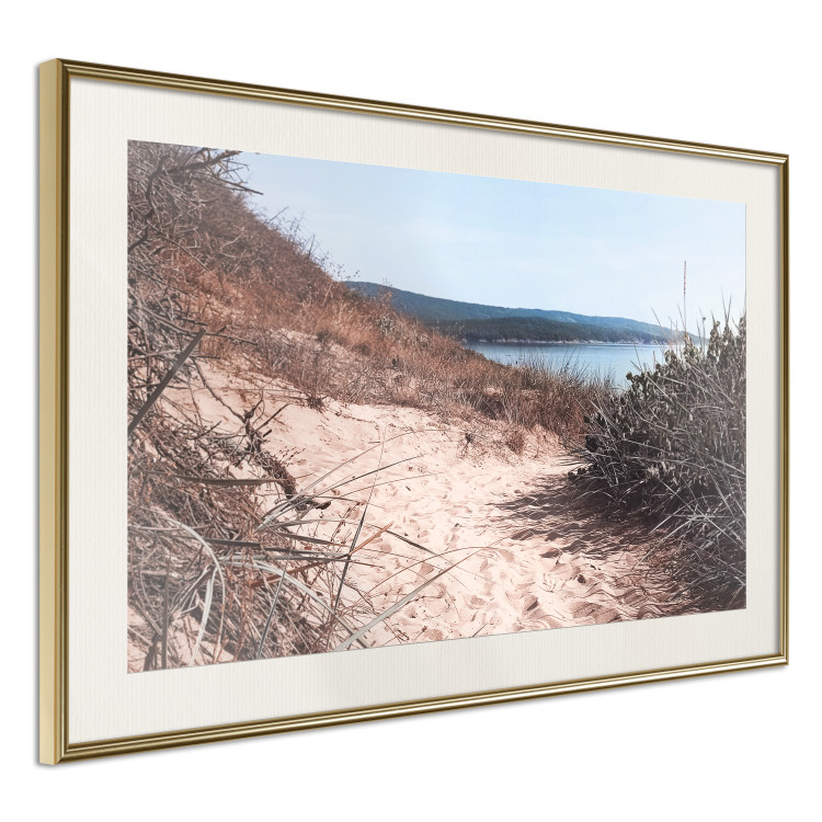Poster Descent to the Beach - Landscape of the Sea, Sandy Road and Vegetation 146242 additionalImage 10