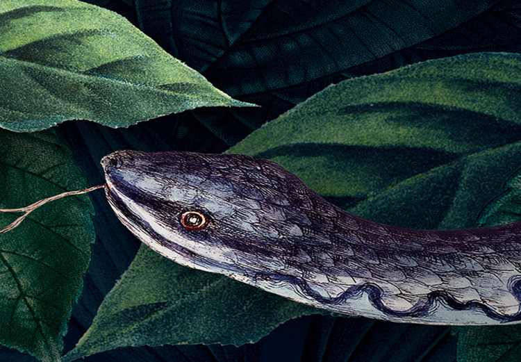 Canvas Print Snake in the Leaves - Wild Fauna and Flora of the Dark Jungle 149842 additionalImage 5