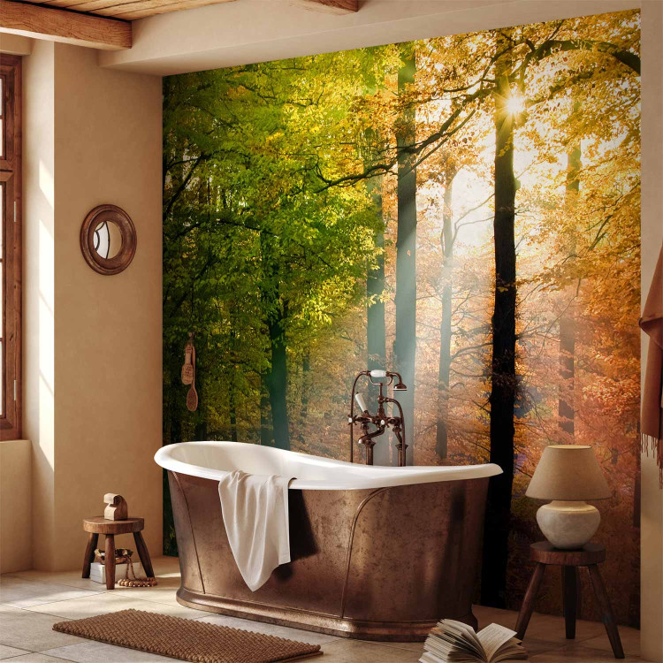 Photo Wallpaper Beautiful autumn 59842 additionalImage 8