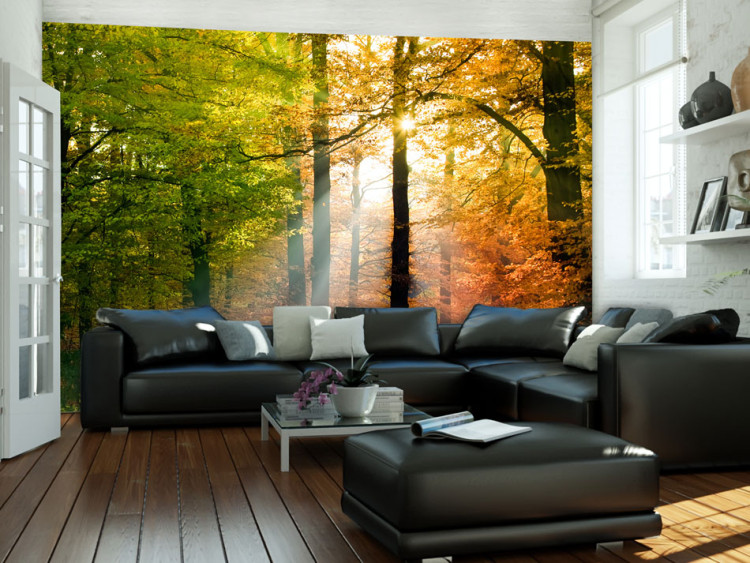 Photo Wallpaper Beautiful autumn 59842