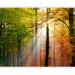 Photo Wallpaper Beautiful autumn 59842 additionalThumb 5