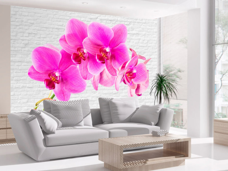 Wall Mural Pink Excitement - Energetic Orchid Flowers on a White Brick Background 60242