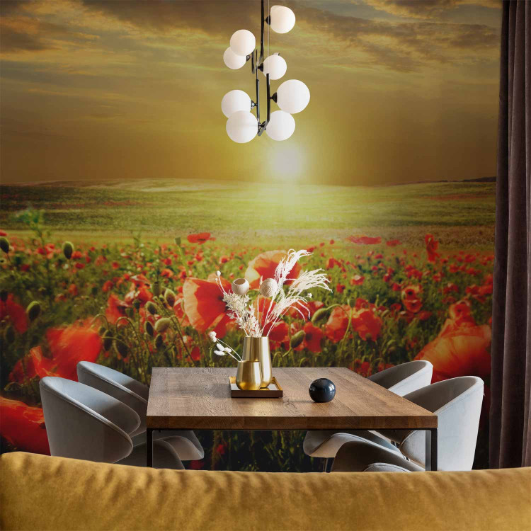 Wall Mural Poppy Field - Morning and Floral Motif in the Form of a Meadow in the Morning Sun 60642 additionalImage 4