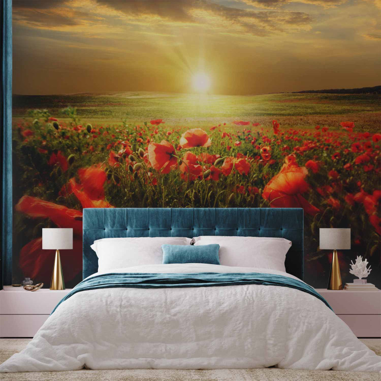 Wall Mural Poppy Field - Morning and Floral Motif in the Form of a Meadow in the Morning Sun 60642 additionalImage 2