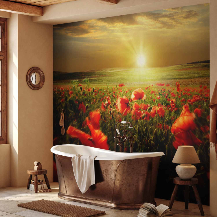 Wall Mural Poppy Field - Morning and Floral Motif in the Form of a Meadow in the Morning Sun 60642 additionalImage 8