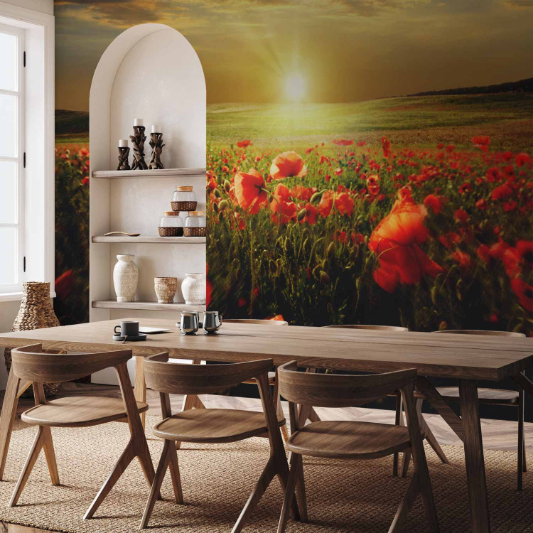 Wall Mural Poppy Field - Morning and Floral Motif in the Form of a Meadow in the Morning Sun 60642 additionalImage 7