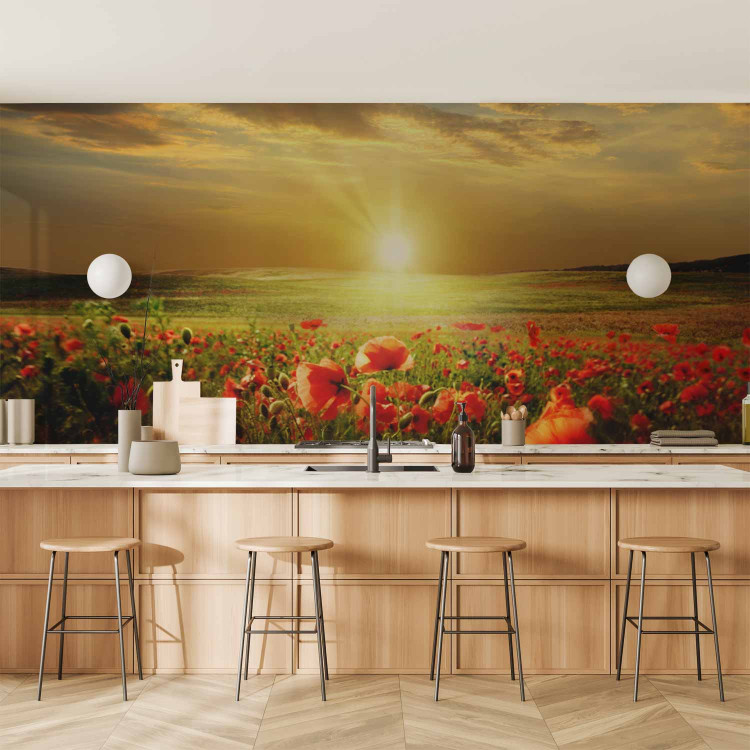 Wall Mural Poppy Field - Morning and Floral Motif in the Form of a Meadow in the Morning Sun 60642 additionalImage 6