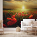 Wall Mural Poppy Field - Morning and Floral Motif in the Form of a Meadow in the Morning Sun 60642