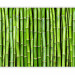 Wall Mural Bamboo wall 61442 additionalThumb 5