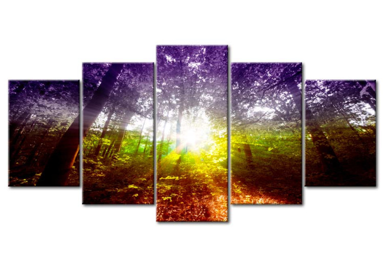 Canvas Print Rainbow Forest 62342