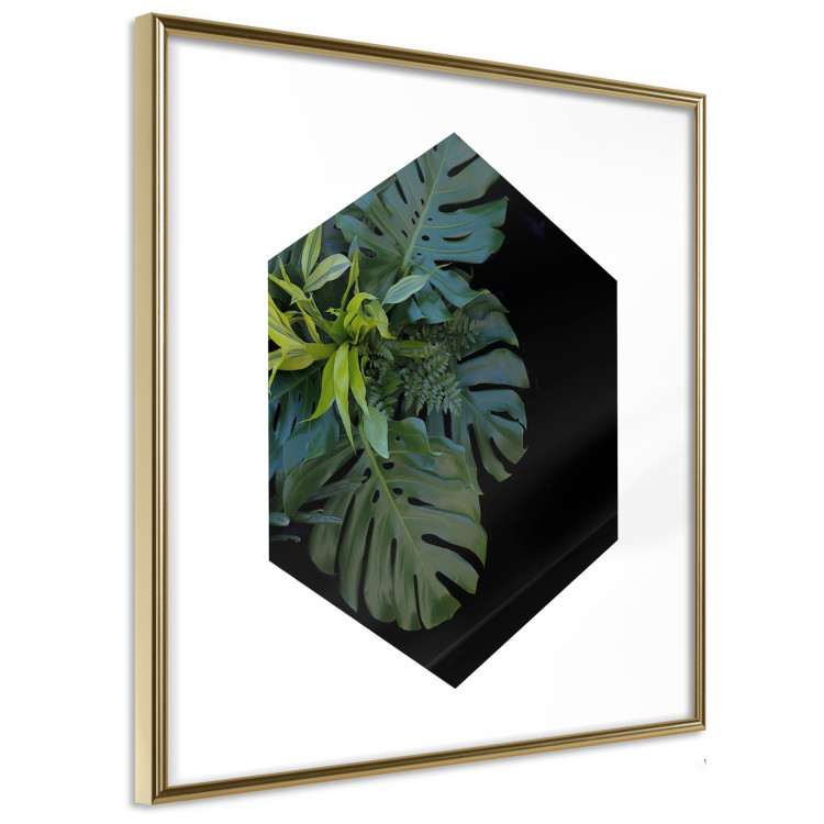 Wall Poster Plant hexagon (square) - geometric abstraction with leaves 114352 additionalImage 8
