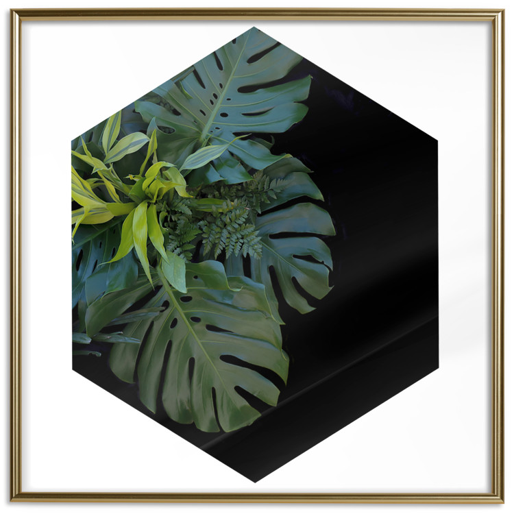 Wall Poster Plant hexagon (square) - geometric abstraction with leaves 114352 additionalImage 20