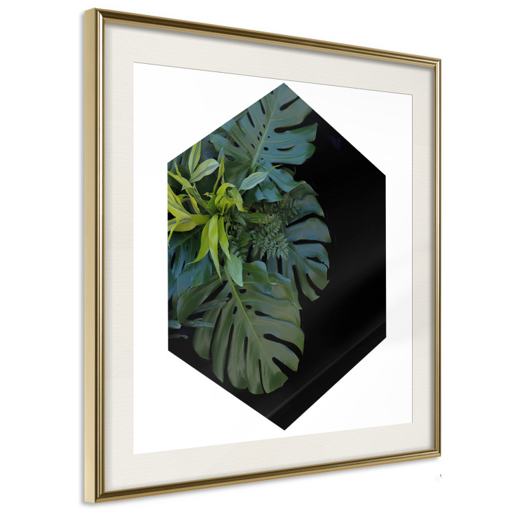 Wall Poster Plant hexagon (square) - geometric abstraction with leaves 114352 additionalImage 2