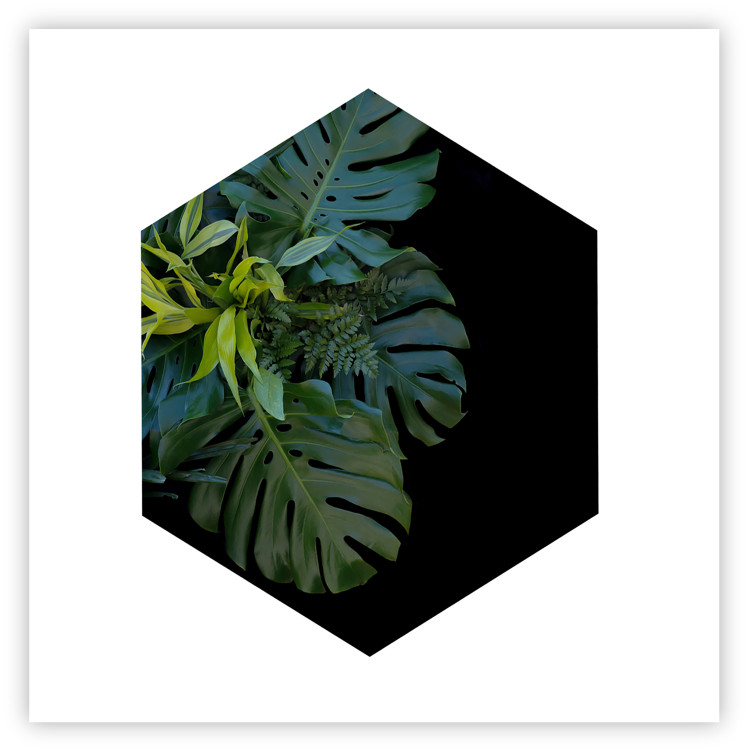 Wall Poster Plant hexagon (square) - geometric abstraction with leaves 114352 additionalImage 25