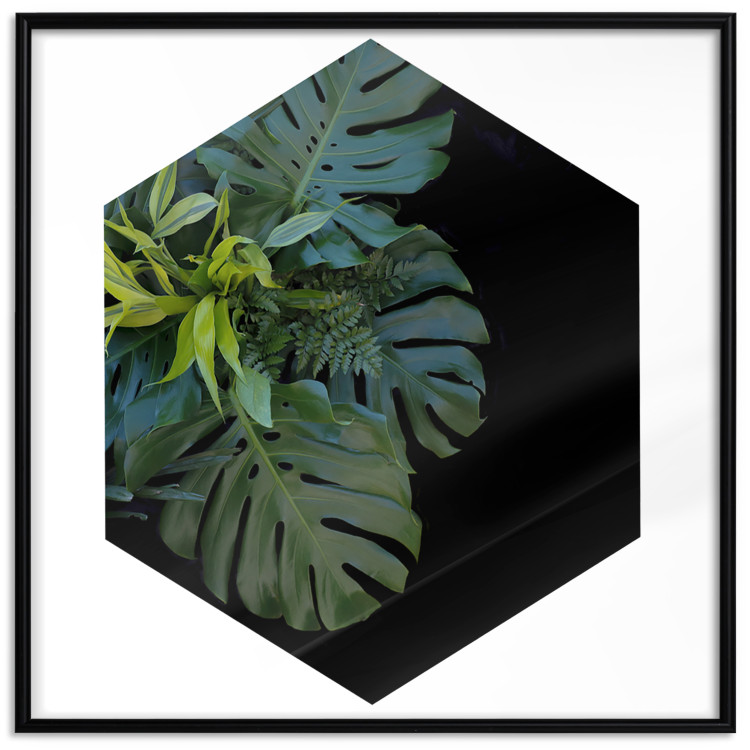 Wall Poster Plant hexagon (square) - geometric abstraction with leaves 114352 additionalImage 24