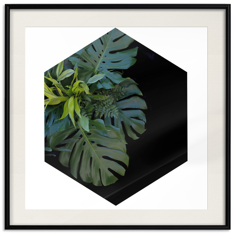 Wall Poster Plant hexagon (square) - geometric abstraction with leaves 114352 additionalImage 18
