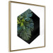 Wall Poster Plant hexagon (square) - geometric abstraction with leaves 114352 additionalThumb 8