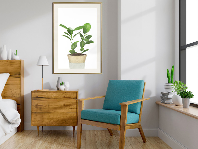 Wall Poster Potted Plant - composition with green leaves on a solid background 116652 additionalImage 21