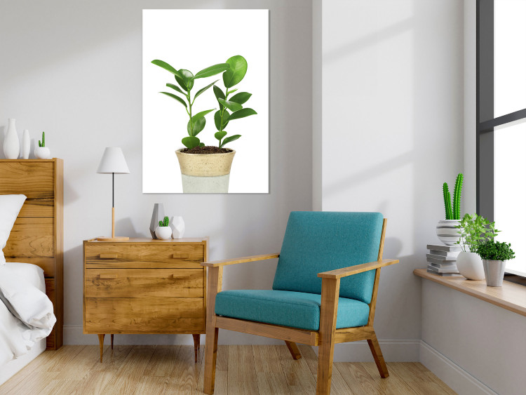 Wall Poster Potted Plant - composition with green leaves on a solid background 116652 additionalImage 23