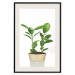 Wall Poster Potted Plant - composition with green leaves on a solid background 116652 additionalThumb 18