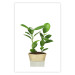 Wall Poster Potted Plant - composition with green leaves on a solid background 116652 additionalThumb 25
