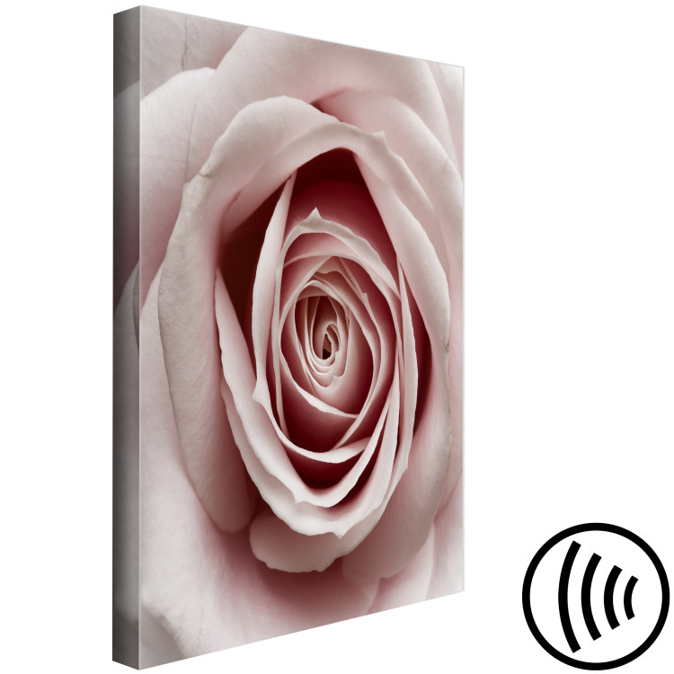 Canvas Art Print Pink Charm (1-part) - Blooming Rose in Pastel Shade 117152 additionalImage 6