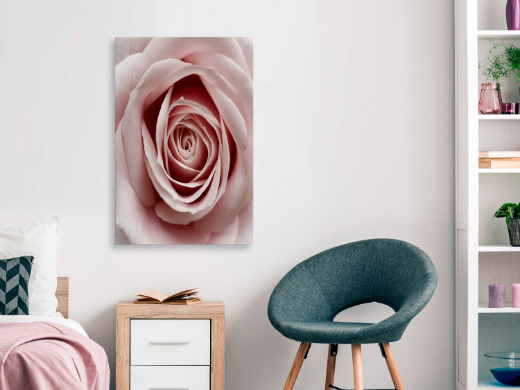 Canvas Art Print Pink Charm (1-part) - Blooming Rose in Pastel Shade 117152 additionalImage 3