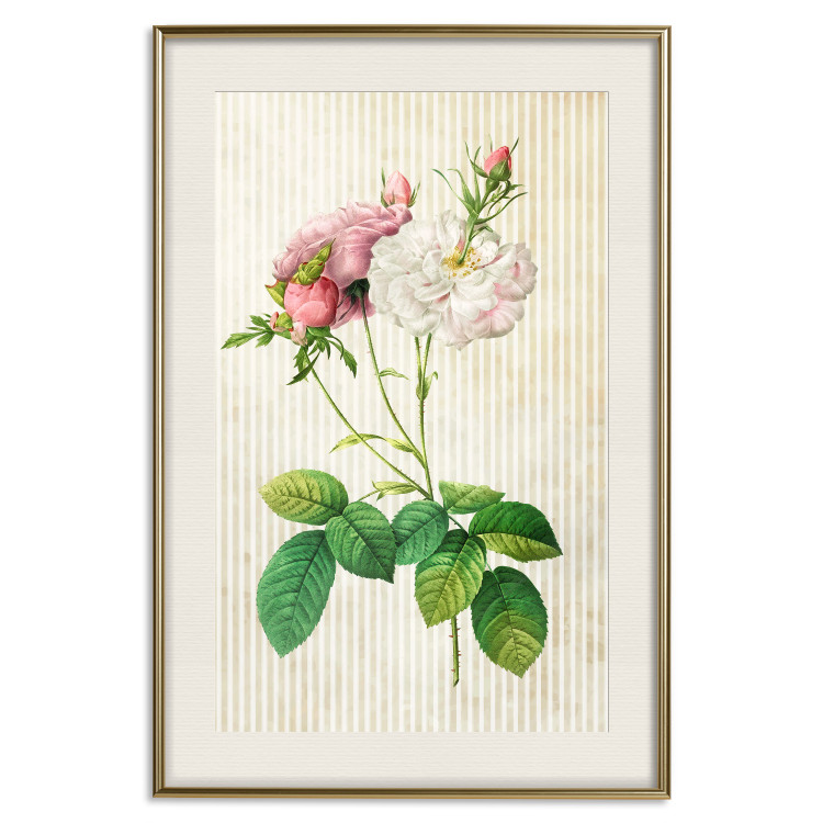 Wall Poster Floral Chic - colorful composition with flowers and beige stripes in the background 117352 additionalImage 19