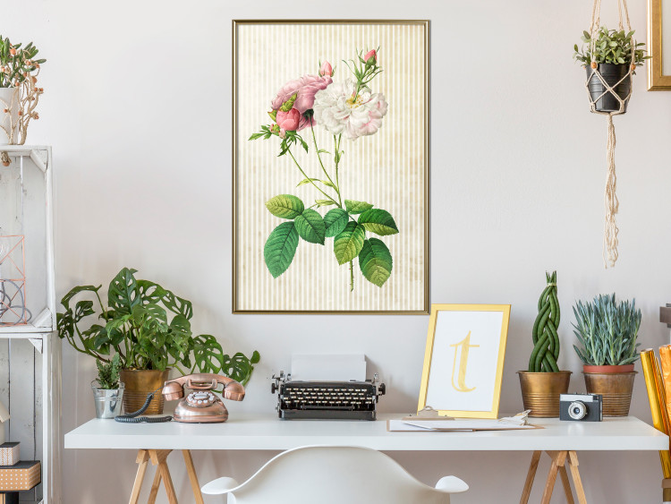 Wall Poster Floral Chic - colorful composition with flowers and beige stripes in the background 117352 additionalImage 5
