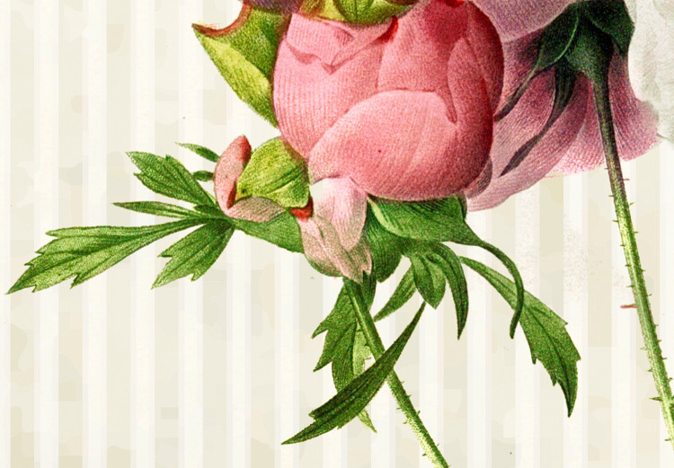 Wall Poster Floral Chic - colorful composition with flowers and beige stripes in the background 117352 additionalImage 9