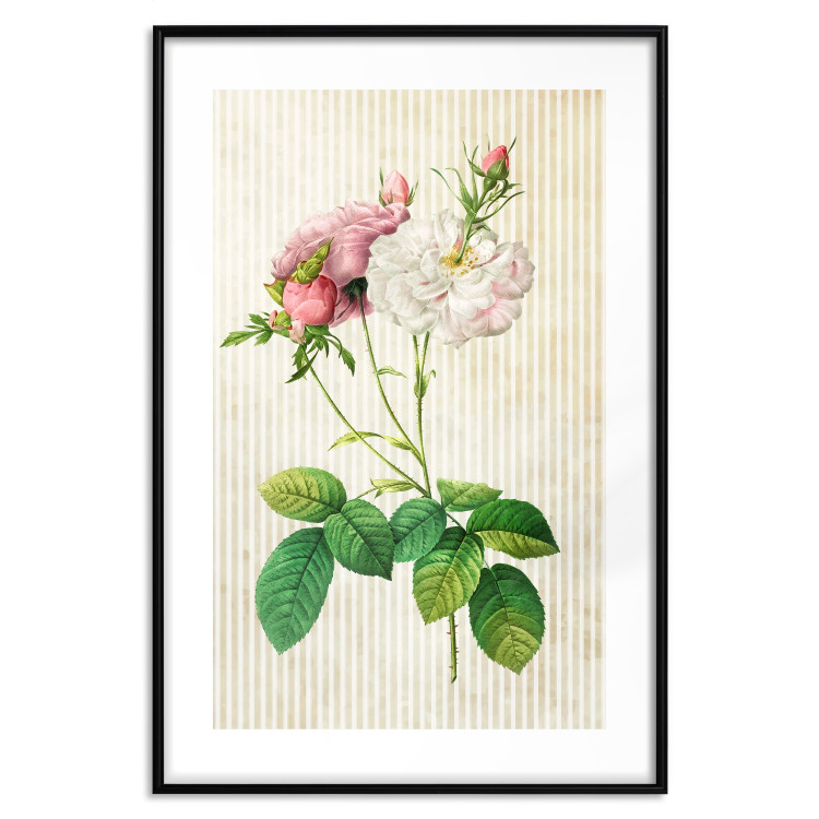 Wall Poster Floral Chic - colorful composition with flowers and beige stripes in the background 117352 additionalImage 17