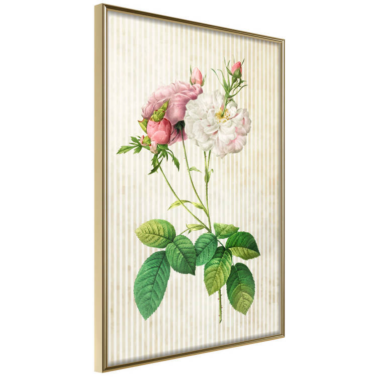 Wall Poster Floral Chic - colorful composition with flowers and beige stripes in the background 117352 additionalImage 12