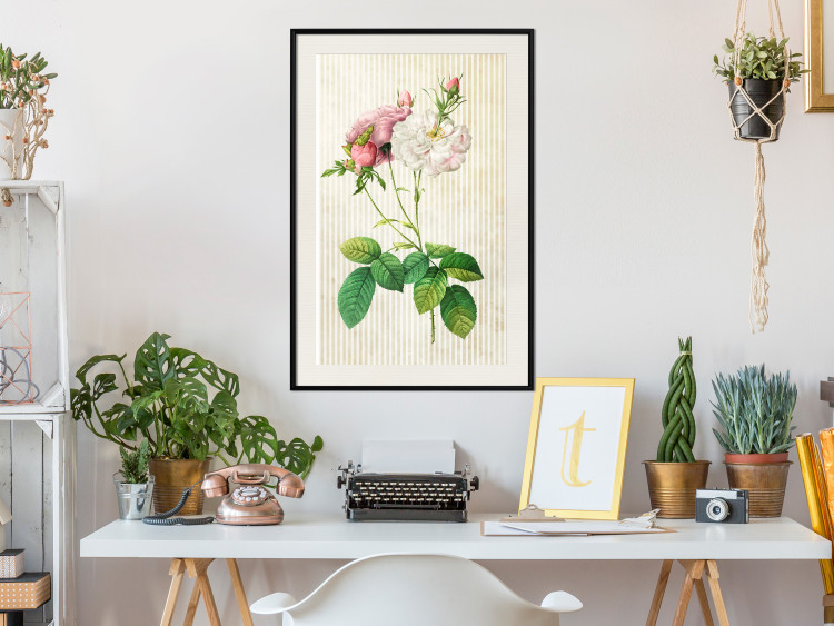 Wall Poster Floral Chic - colorful composition with flowers and beige stripes in the background 117352 additionalImage 22