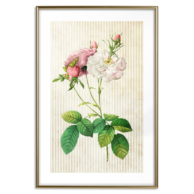 Wall Poster Floral Chic - colorful composition with flowers and beige stripes in the background 117352 additionalImage 16