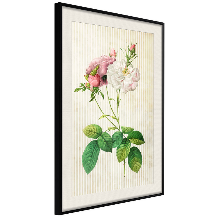 Wall Poster Floral Chic - colorful composition with flowers and beige stripes in the background 117352 additionalImage 3