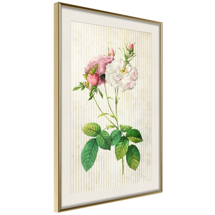 Wall Poster Floral Chic - colorful composition with flowers and beige stripes in the background 117352 additionalImage 2