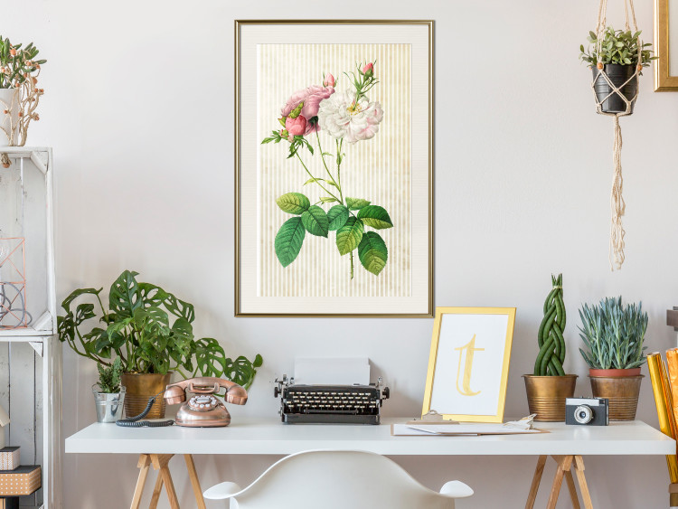 Wall Poster Floral Chic - colorful composition with flowers and beige stripes in the background 117352 additionalImage 21