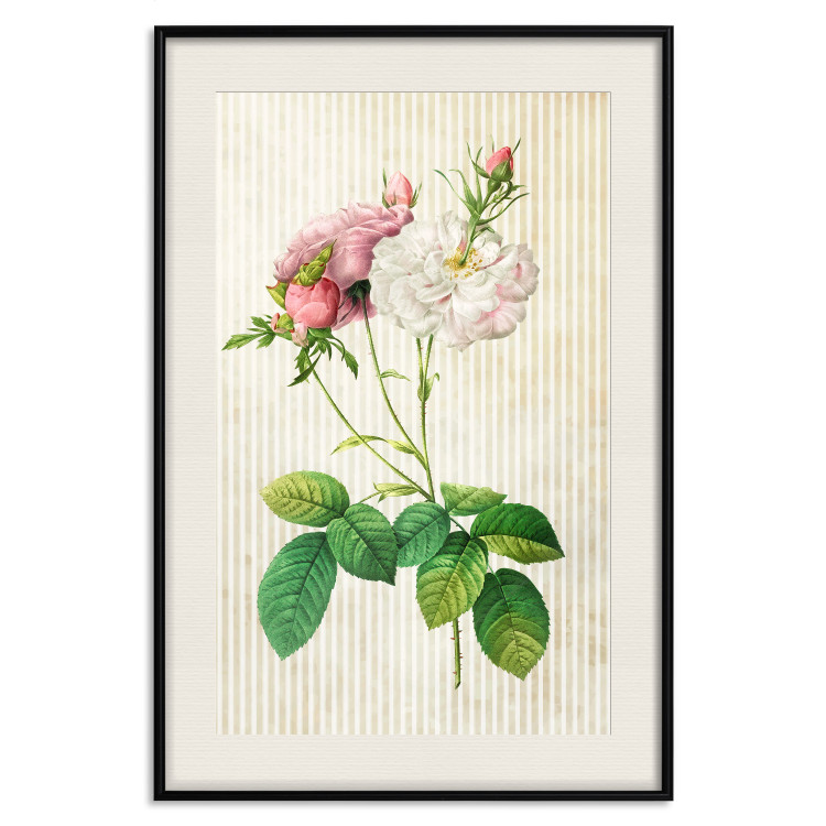 Wall Poster Floral Chic - colorful composition with flowers and beige stripes in the background 117352 additionalImage 18