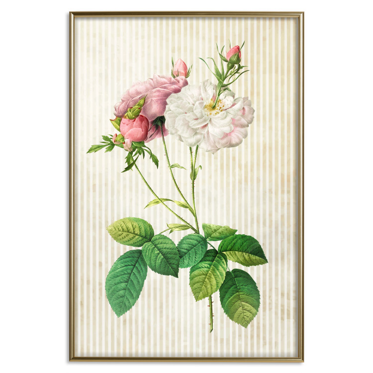 Wall Poster Floral Chic - colorful composition with flowers and beige stripes in the background 117352 additionalImage 16