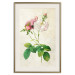 Wall Poster Floral Chic - colorful composition with flowers and beige stripes in the background 117352 additionalThumb 19