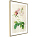Wall Poster Floral Chic - colorful composition with flowers and beige stripes in the background 117352 additionalThumb 6
