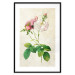 Wall Poster Floral Chic - colorful composition with flowers and beige stripes in the background 117352 additionalThumb 15