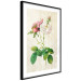 Wall Poster Floral Chic - colorful composition with flowers and beige stripes in the background 117352 additionalThumb 11