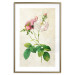 Wall Poster Floral Chic - colorful composition with flowers and beige stripes in the background 117352 additionalThumb 16