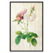 Wall Poster Floral Chic - colorful composition with flowers and beige stripes in the background 117352 additionalThumb 24