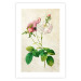 Wall Poster Floral Chic - colorful composition with flowers and beige stripes in the background 117352 additionalThumb 25