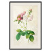 Wall Poster Floral Chic - colorful composition with flowers and beige stripes in the background 117352 additionalThumb 18