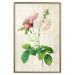Wall Poster Floral Chic - colorful composition with flowers and beige stripes in the background 117352 additionalThumb 20