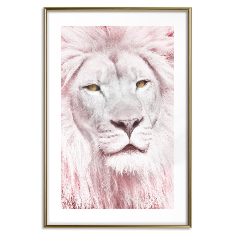 Wall Poster Beauty in Strength - reddened white lion portrait with yellow eyes 123052 additionalImage 16