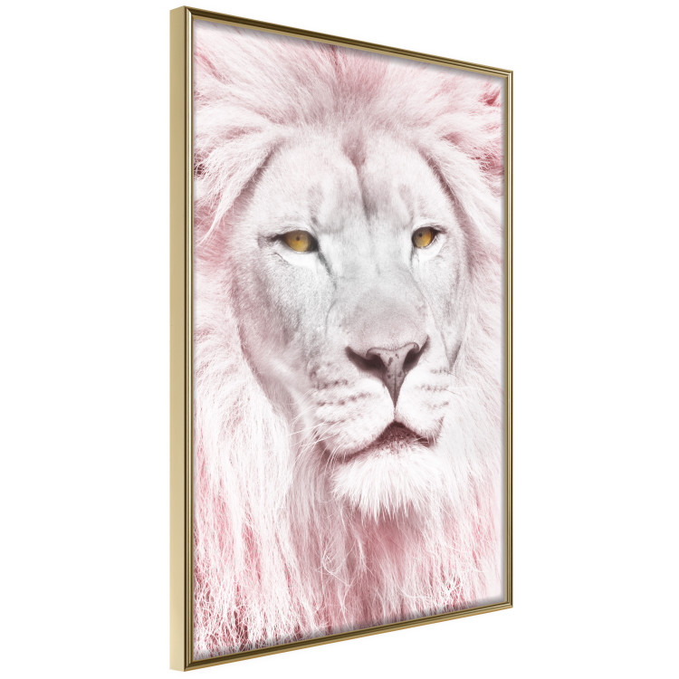 Wall Poster Beauty in Strength - reddened white lion portrait with yellow eyes 123052 additionalImage 10